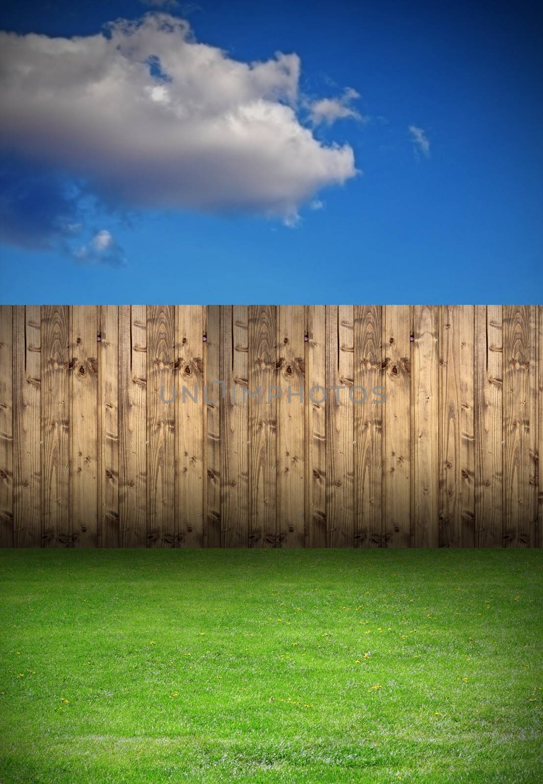backyard with wooden fence by taviphoto