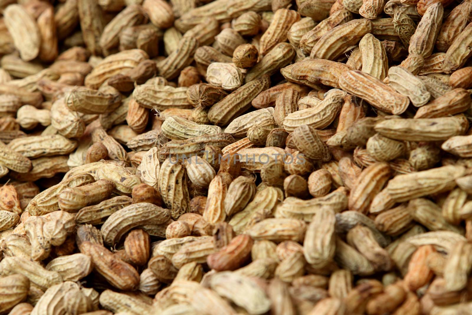 Boiled or steamed peanut seed