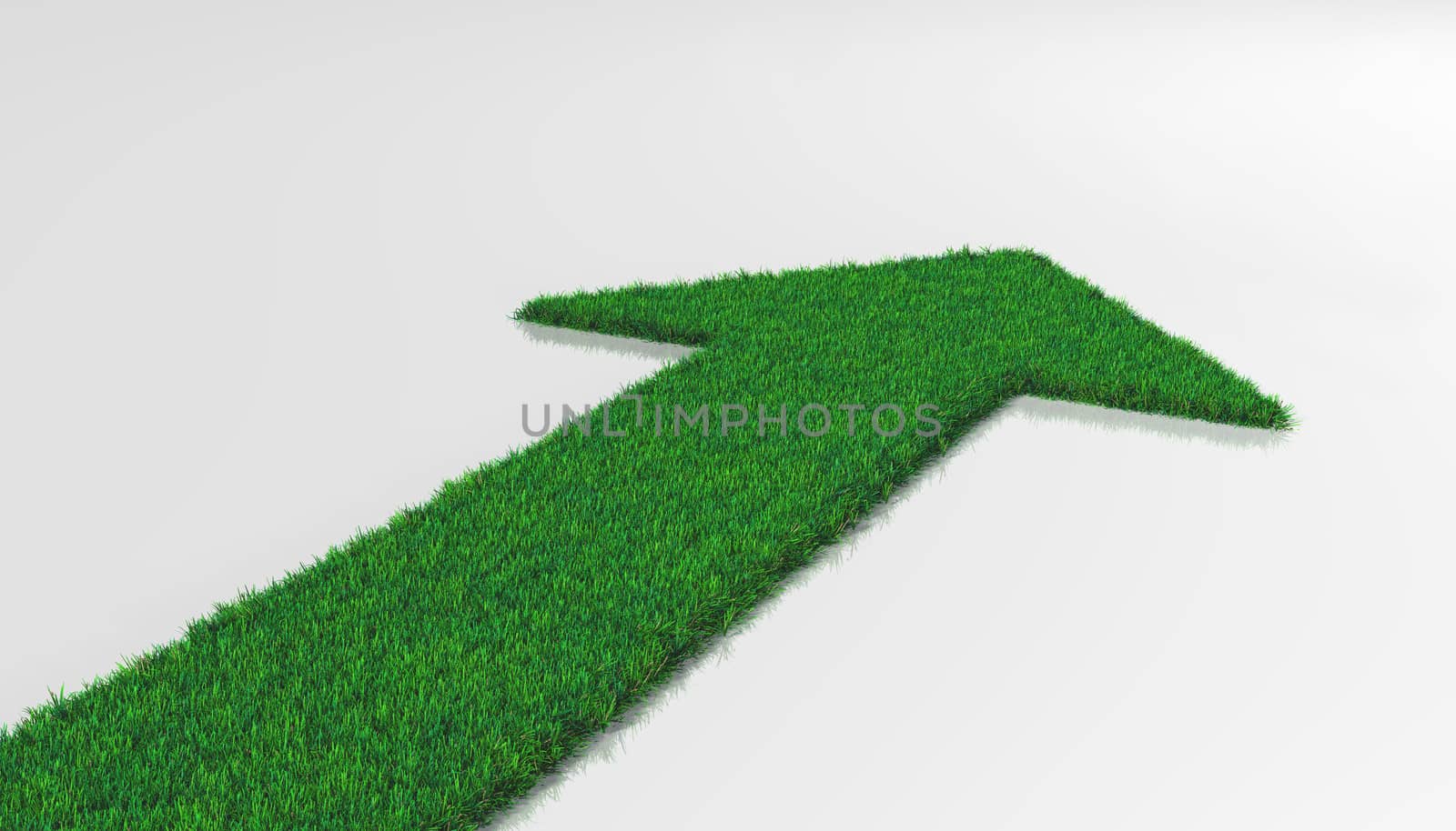 a carpet of grass on a white background ends with one arrow that indicates a forward direction