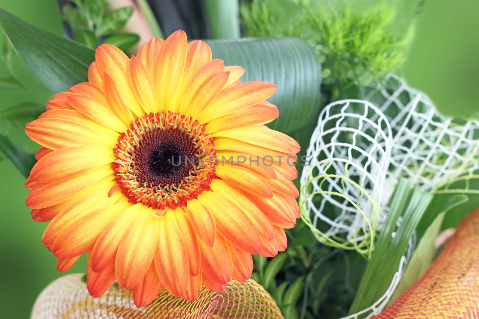 fresh flower bouquet with orange gerbera and green leaves