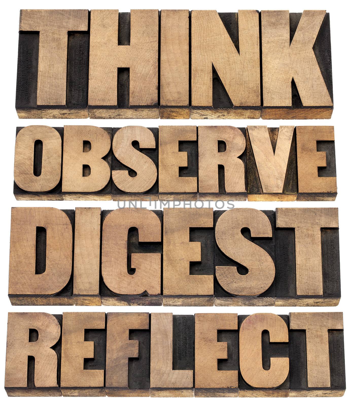 think, observe, digest, reflect by PixelsAway