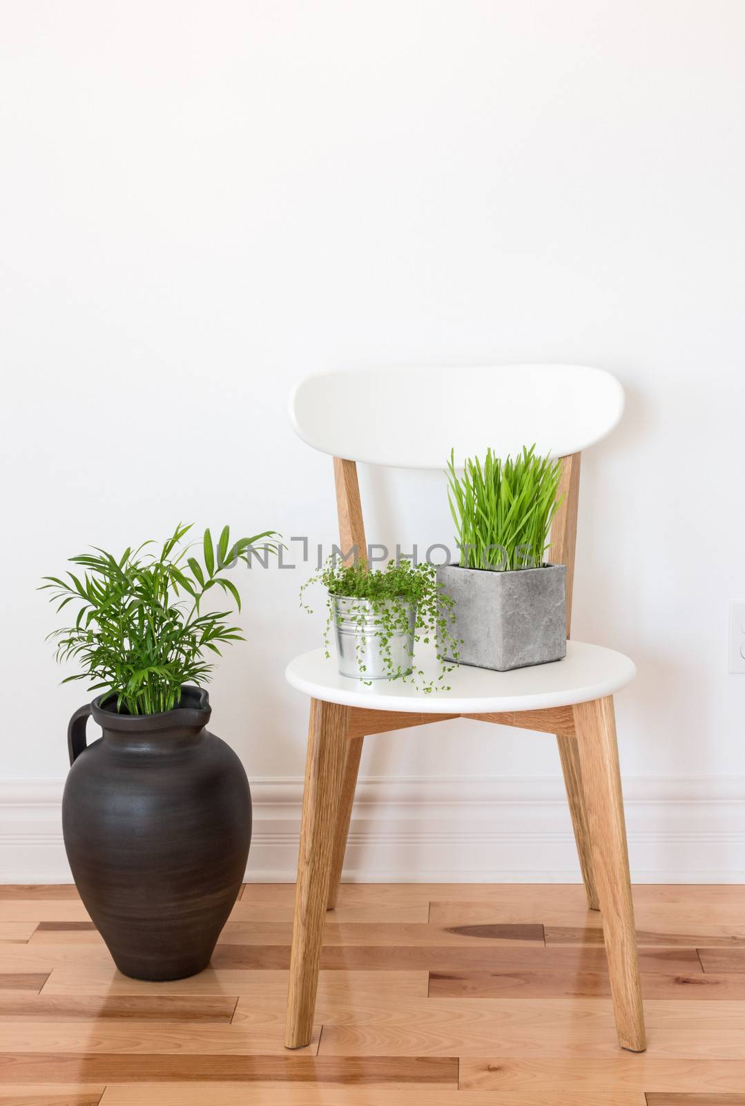 White wooden chair with green plants by anikasalsera