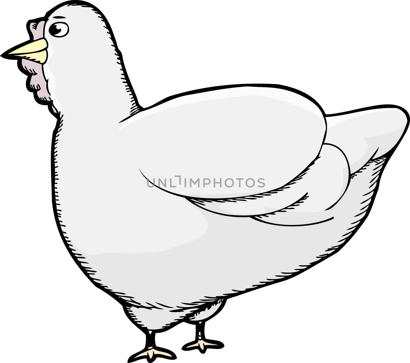 Cute hen standing over isolated white background