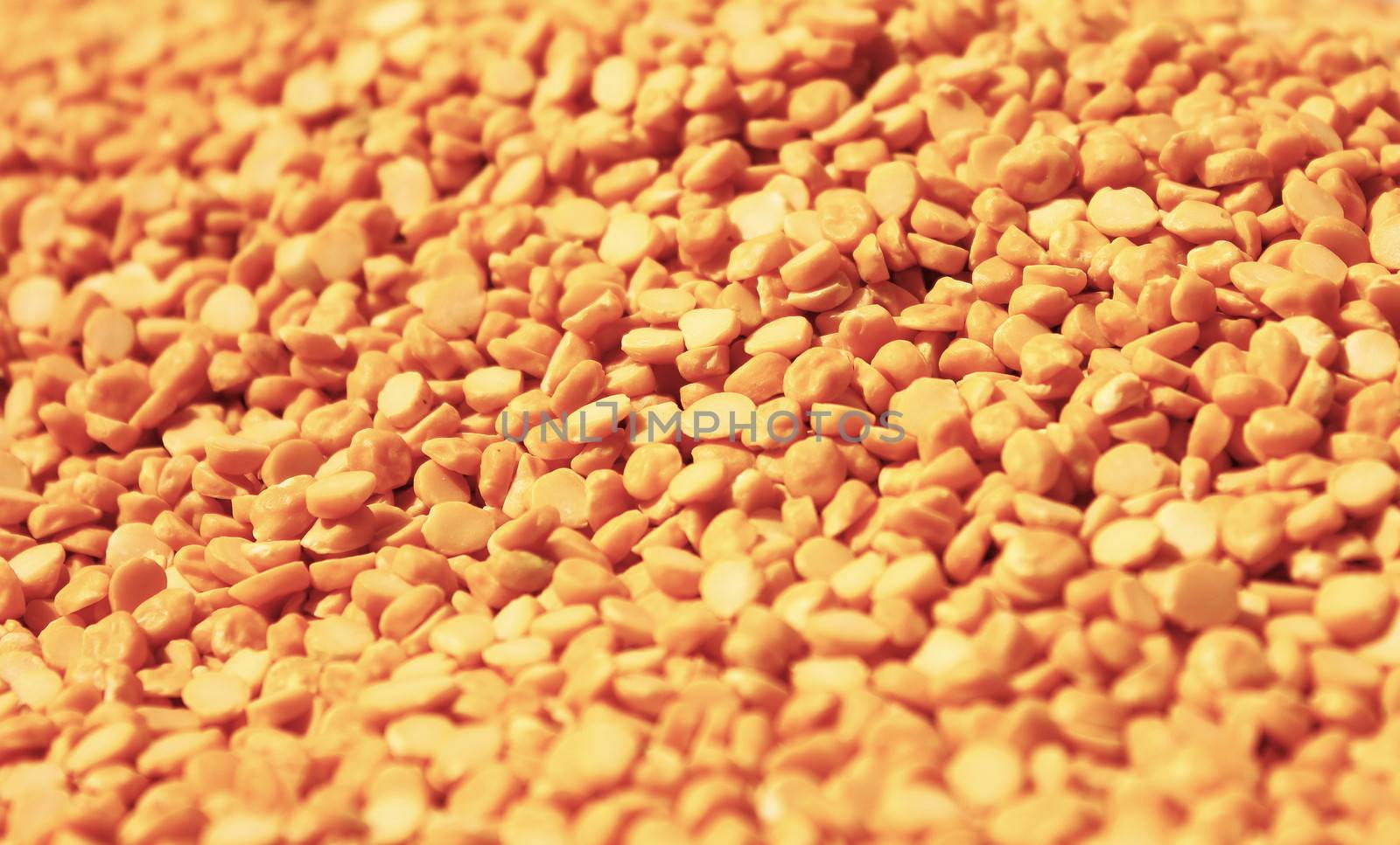 arahar dal indian cereals by motionkarma