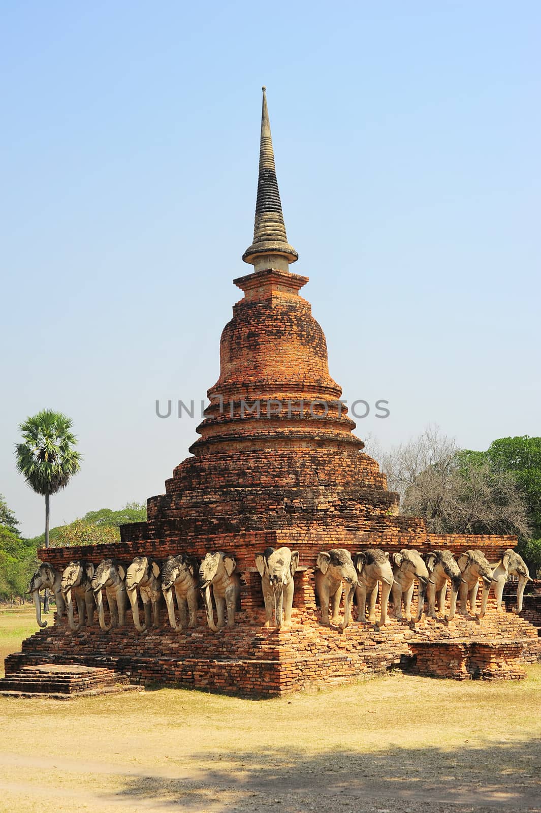 Elephants and brick pagoda in old Sukhothai, Thailand