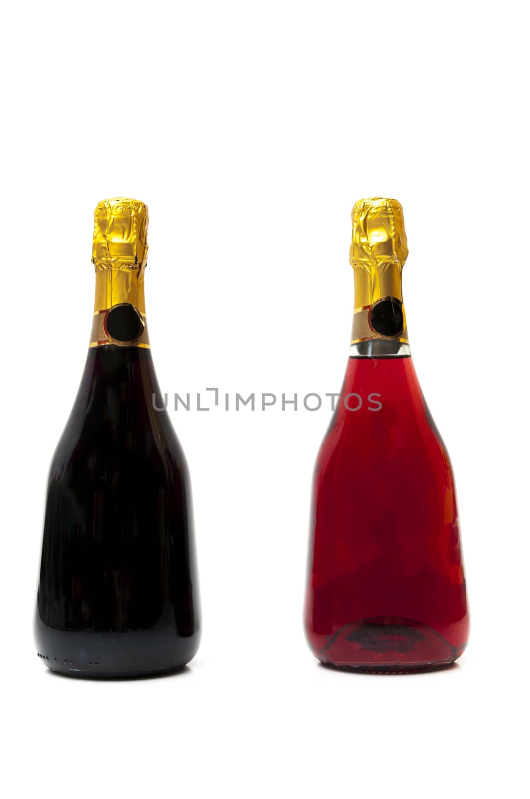 Champagne red and black on a white background