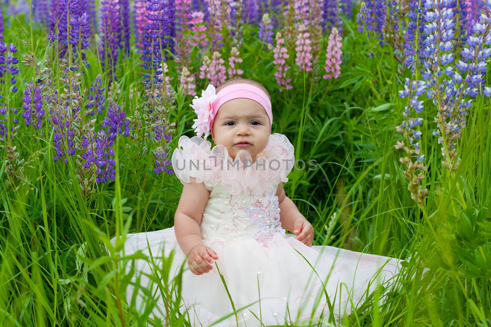 little girl in an elegant dress sits on a grass