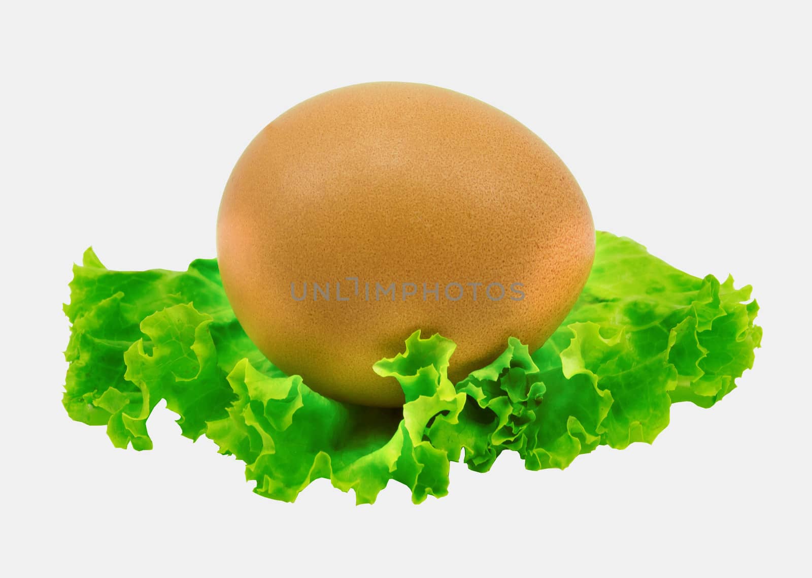 egg laid on salads and for cooking