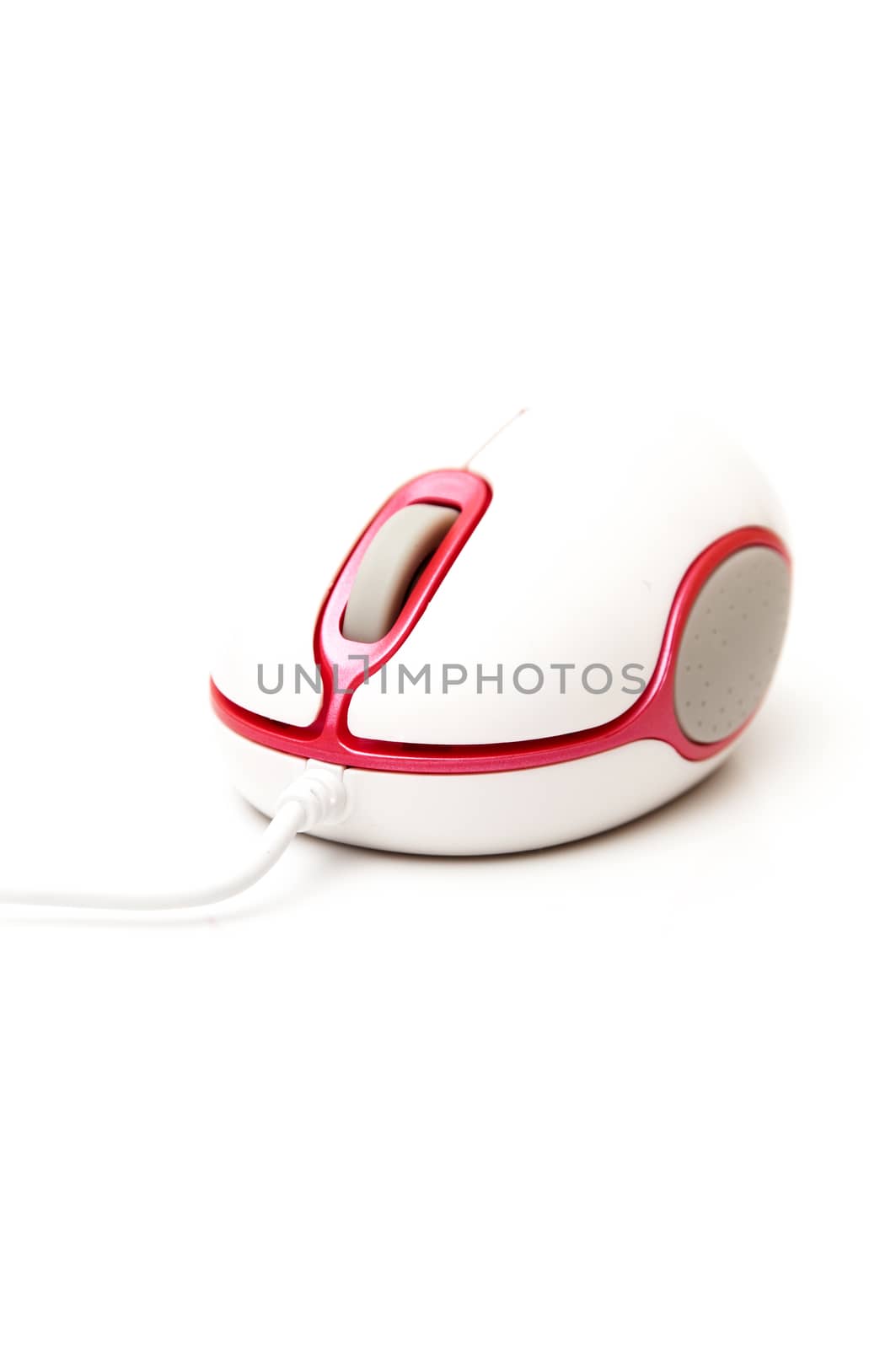 Computer mouse on a white background