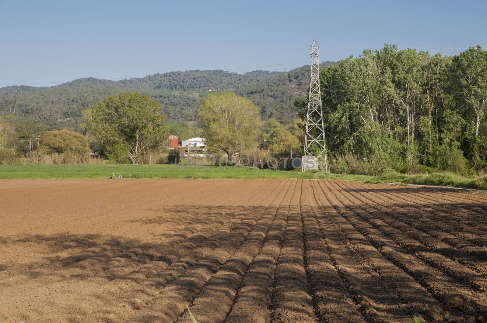 agriculture in the field ready for planting