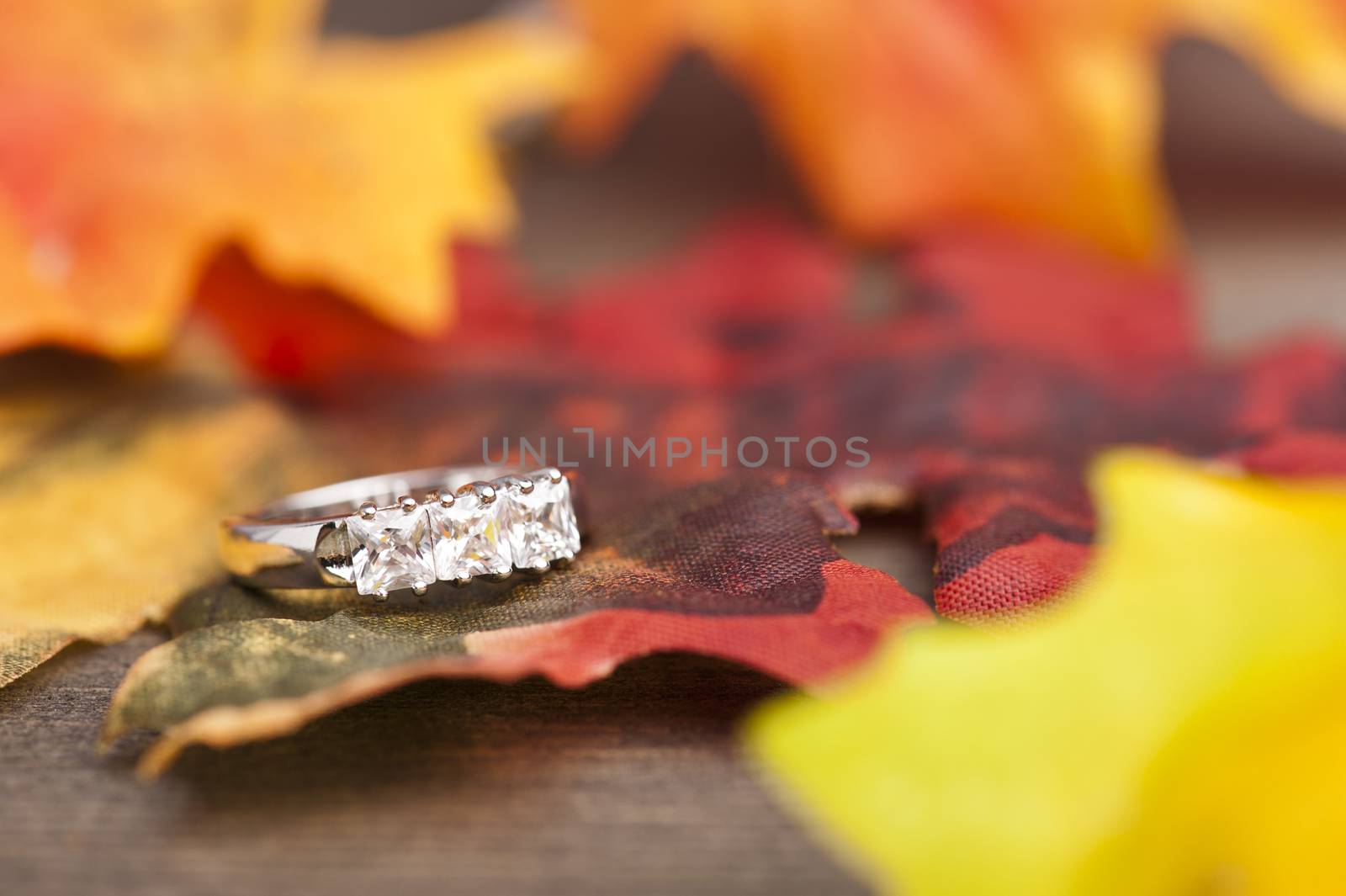 Diamond Engagement ring in festive autumn decoration