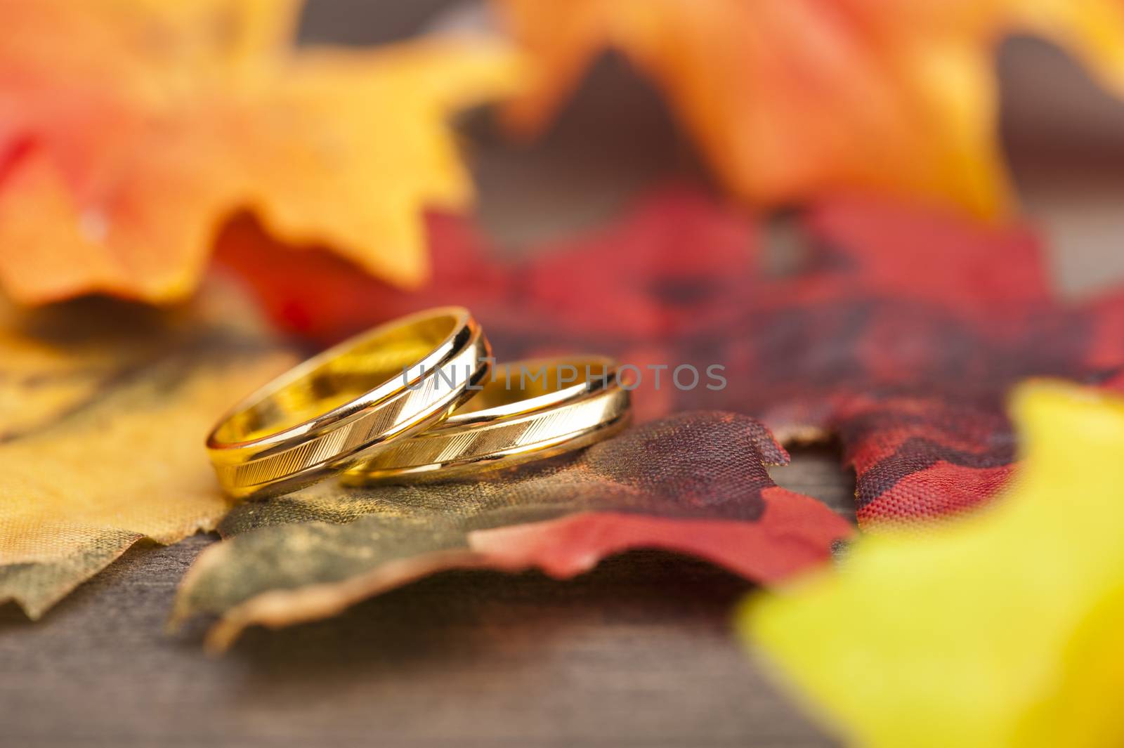 Wedding Engagement ring in festive autumn decoration