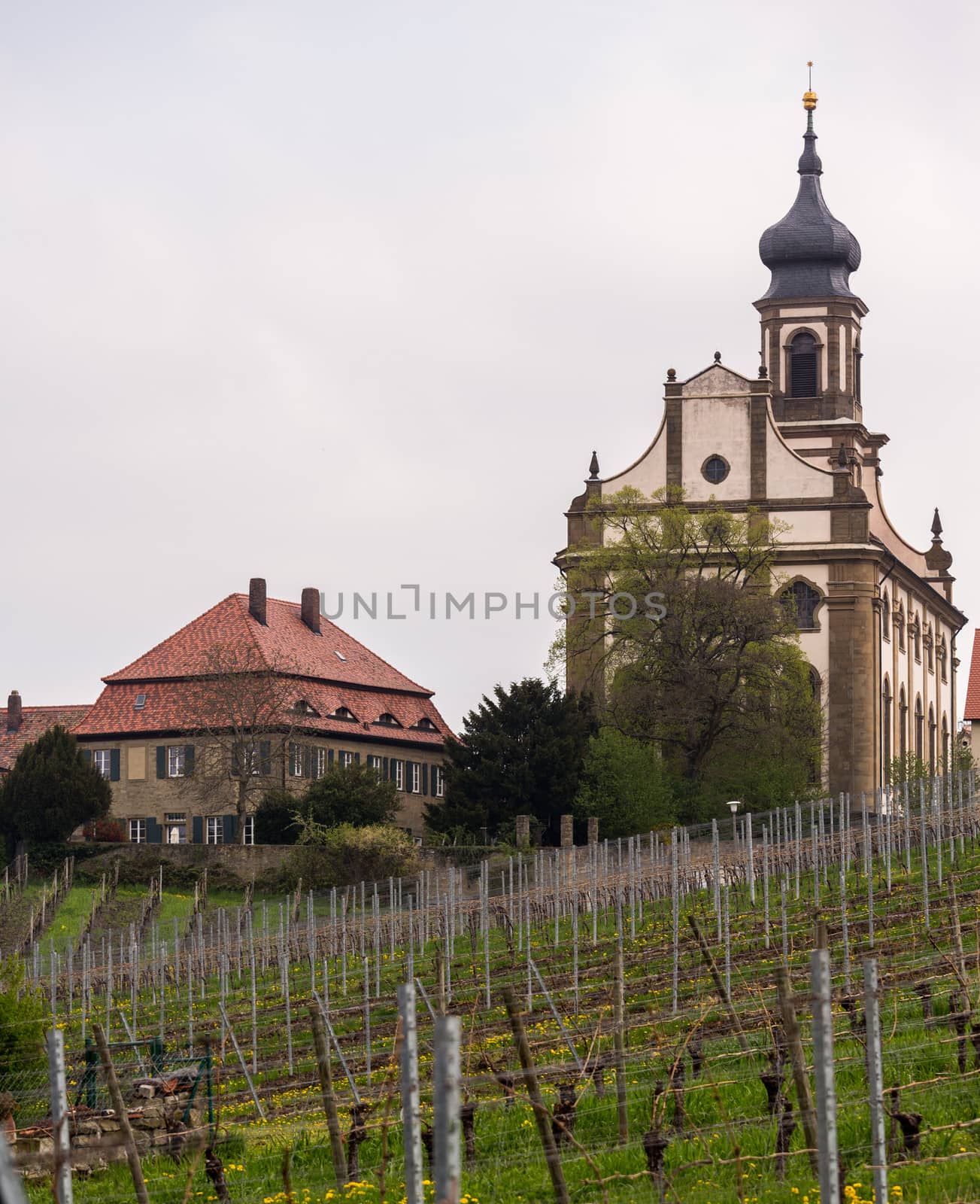 Evangelical Lutheran church of St Johannis or Johannes in small Bavarian village of Castell in Germany. Church rises above trees from surrounding vineyards of Castell winery.