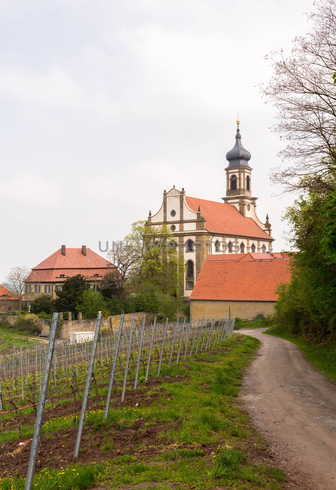 Evangelical Lutheran church of St Johannis or Johannes in small Bavarian village of Castell in Germany. Church rises above trees from surrounding vineyards of Castell winery.