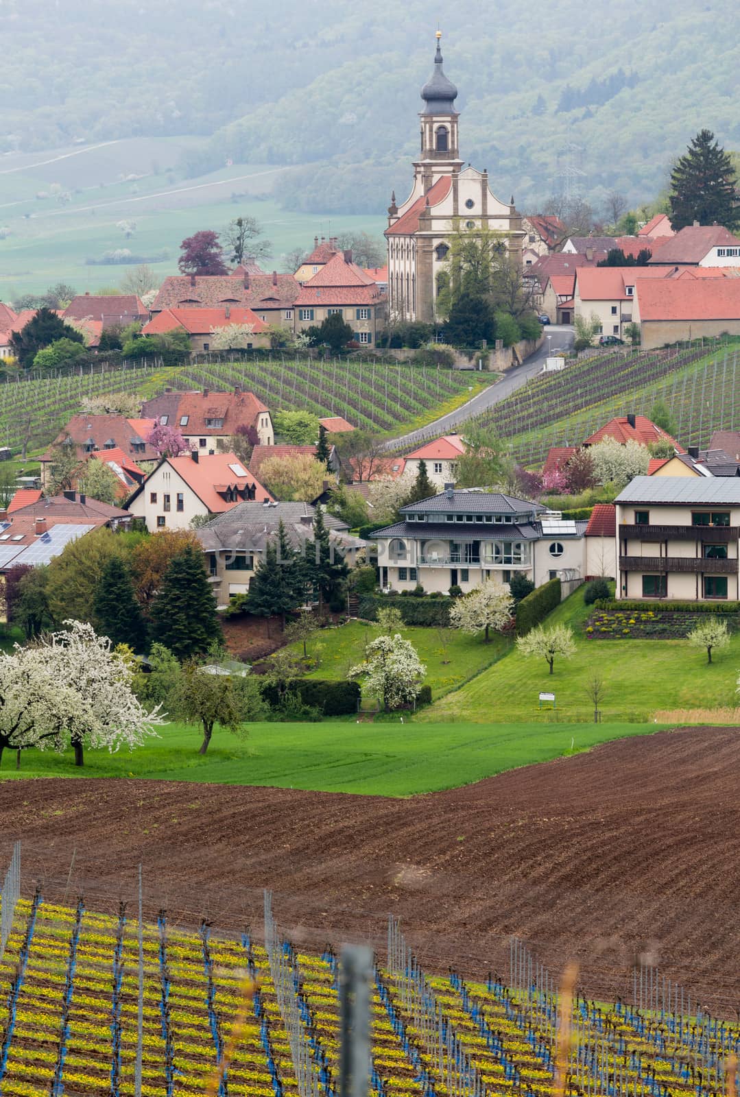 Evangelical Lutheran church of St Johannis or Johannes in small Bavarian village of Castell in Germany. Church rises above trees from surrounding vineyards of Castell winery.