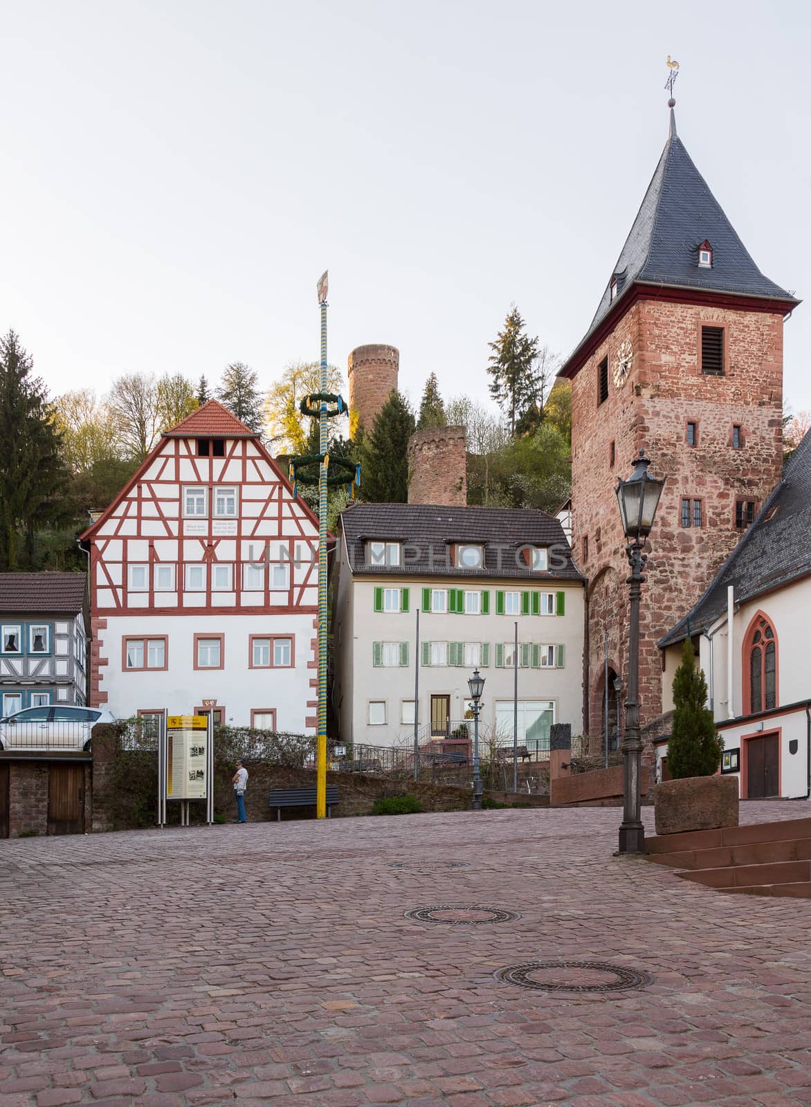 Town of Hirschhorn Hesse Germany by steheap