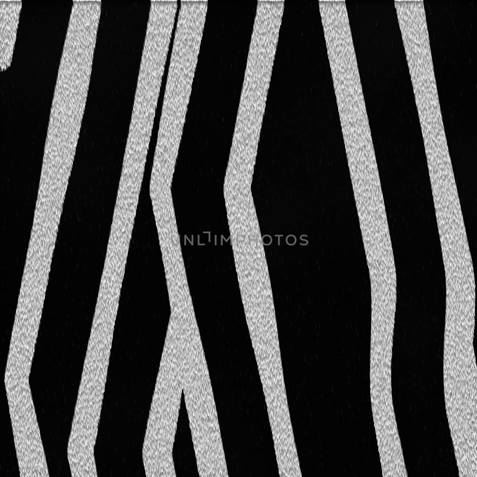 zebra texture by sfinks