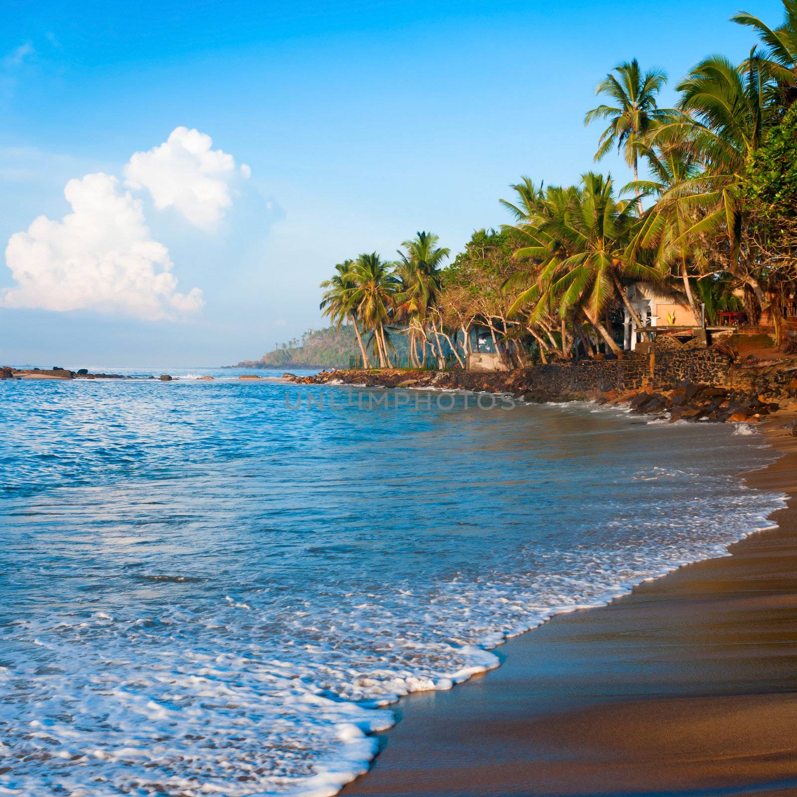 Tropical paradise beach with palms on sunrise light 