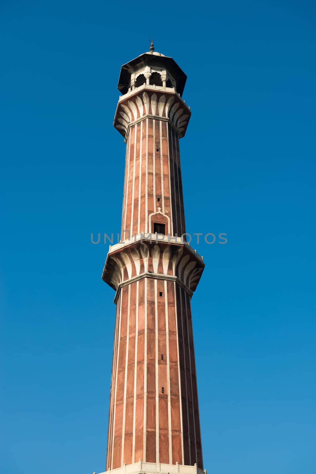 Minaret Jama Masjid Mosque, Dehli, India  by iryna_rasko
