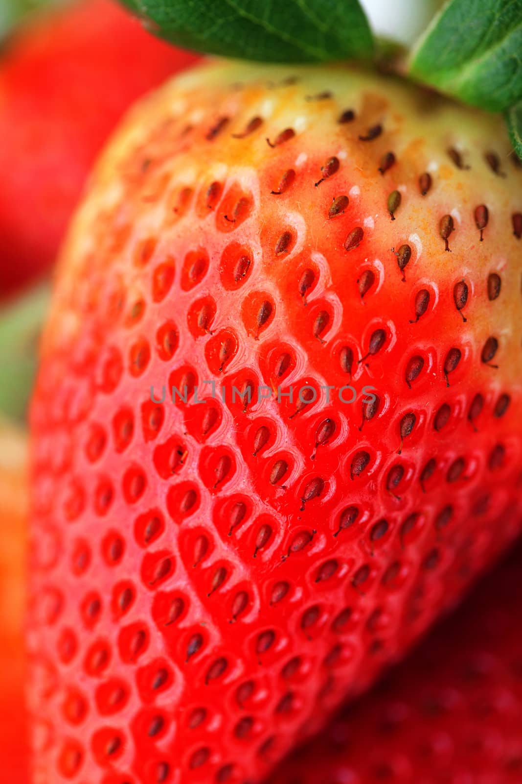 macro background of a big red strawberries by jannyjus