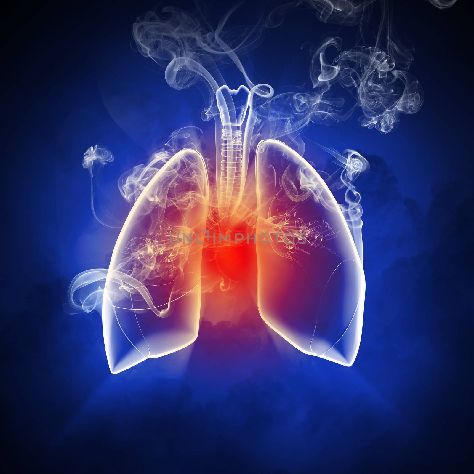 Schematic illustration of human lungs with the different elements on a colored background. Collage.