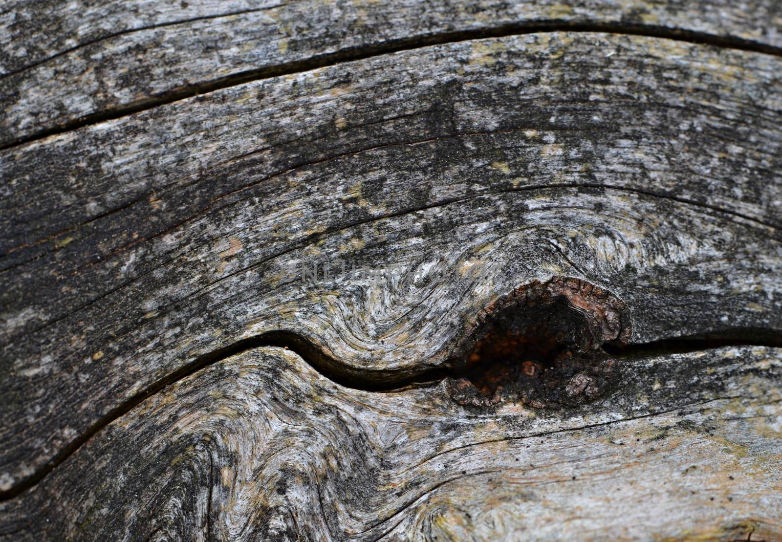 background or texture of wood reminiscent of eye of a whale