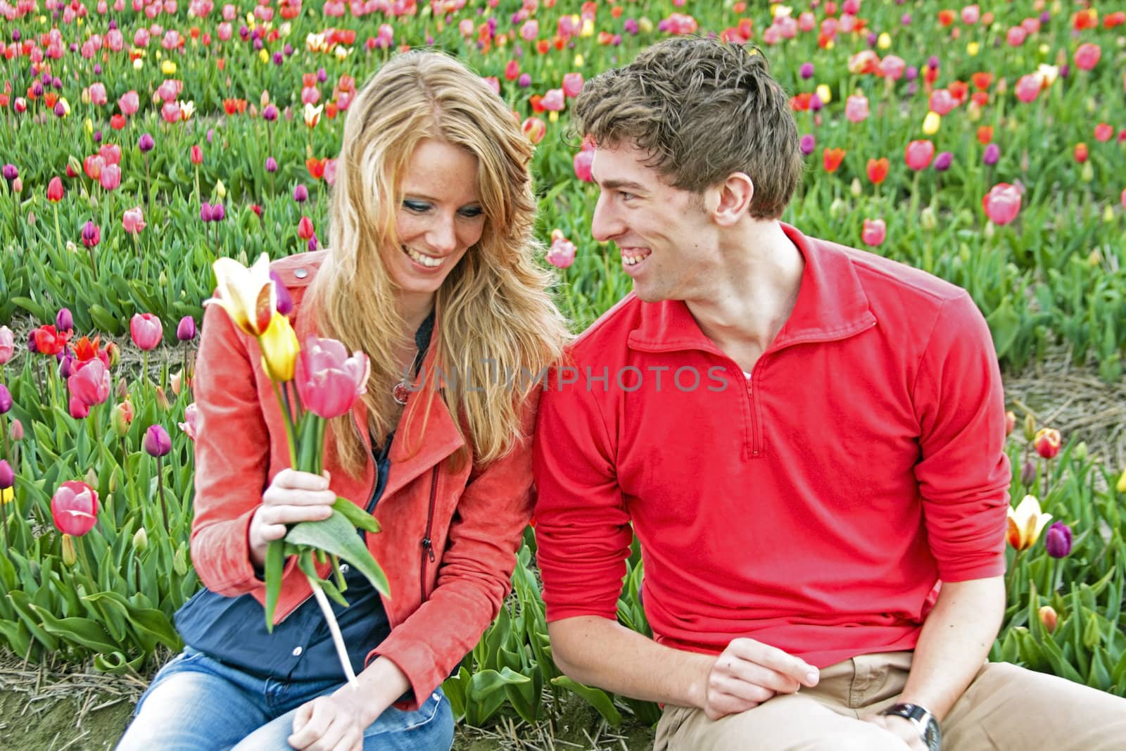 Happy couple in the tulipfields from the Netherlands