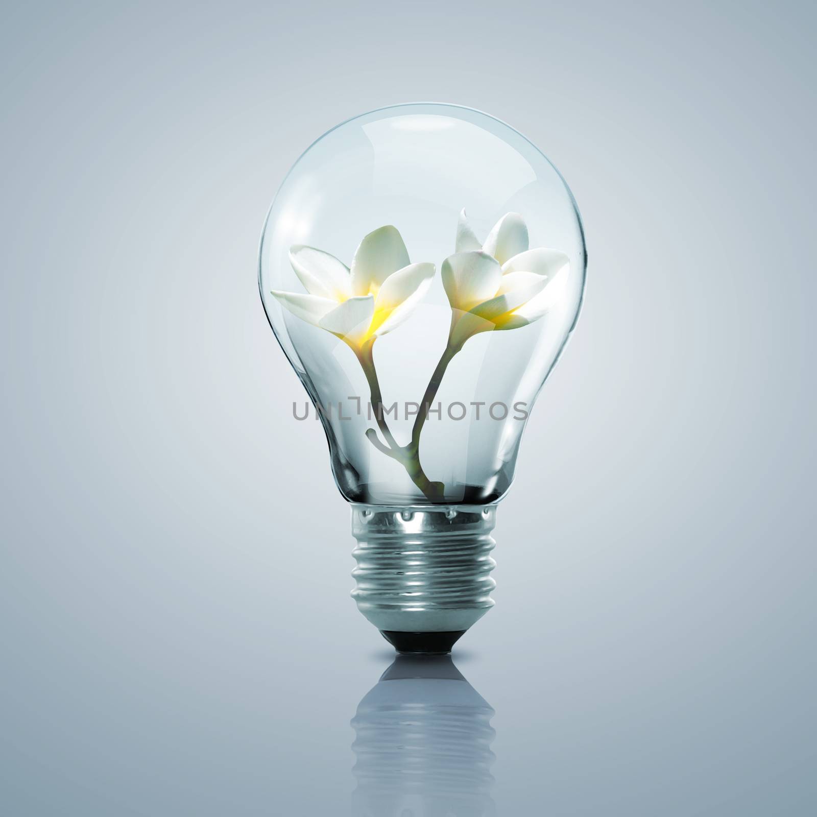 Electric light bulb and flower inside it by sergey_nivens