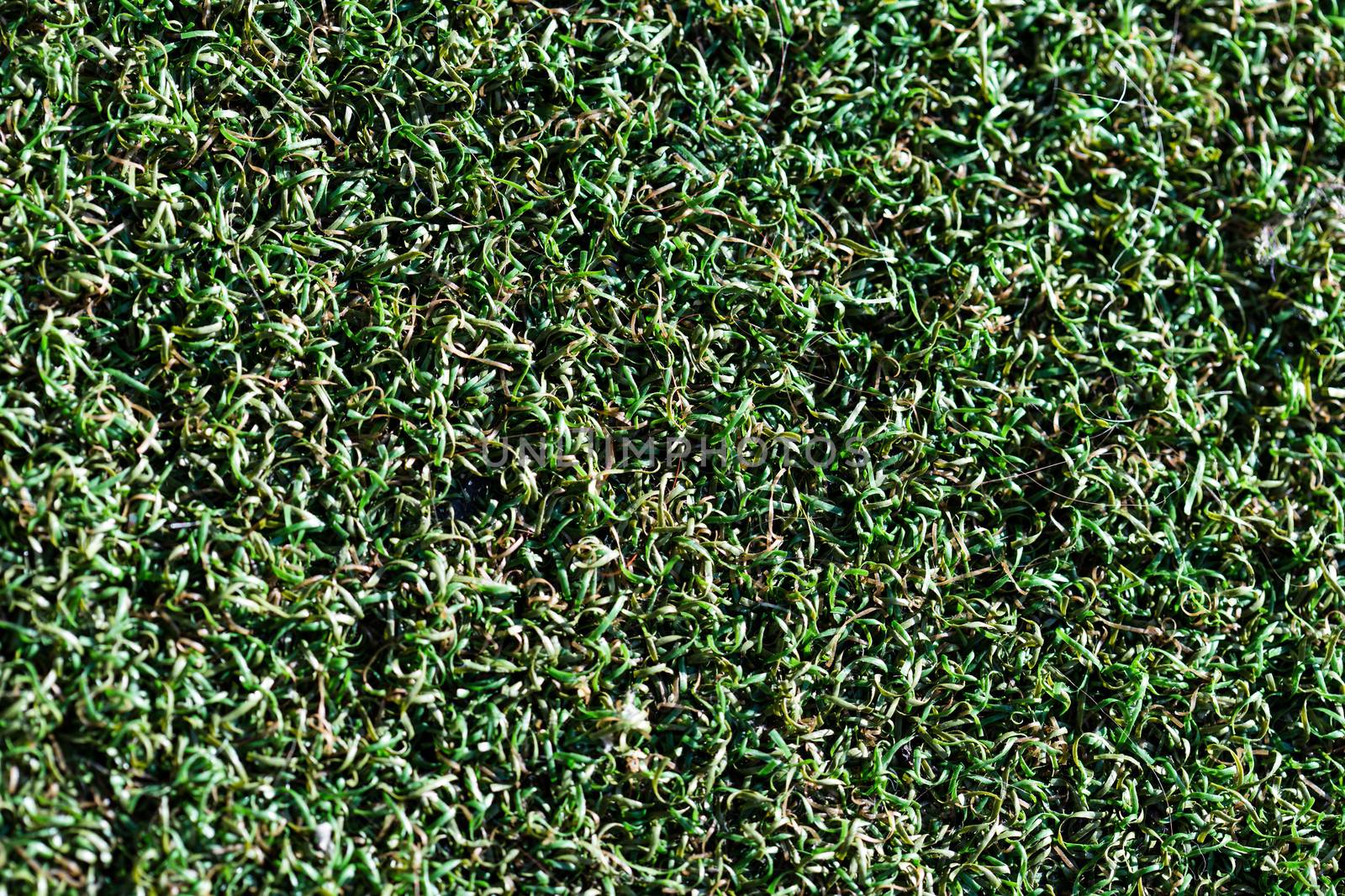 Artificial grass background texture