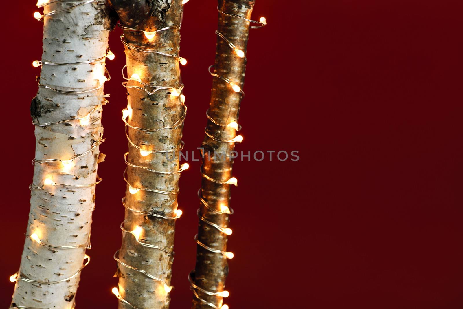Red background with birch trees wrapped in Christmas lights
