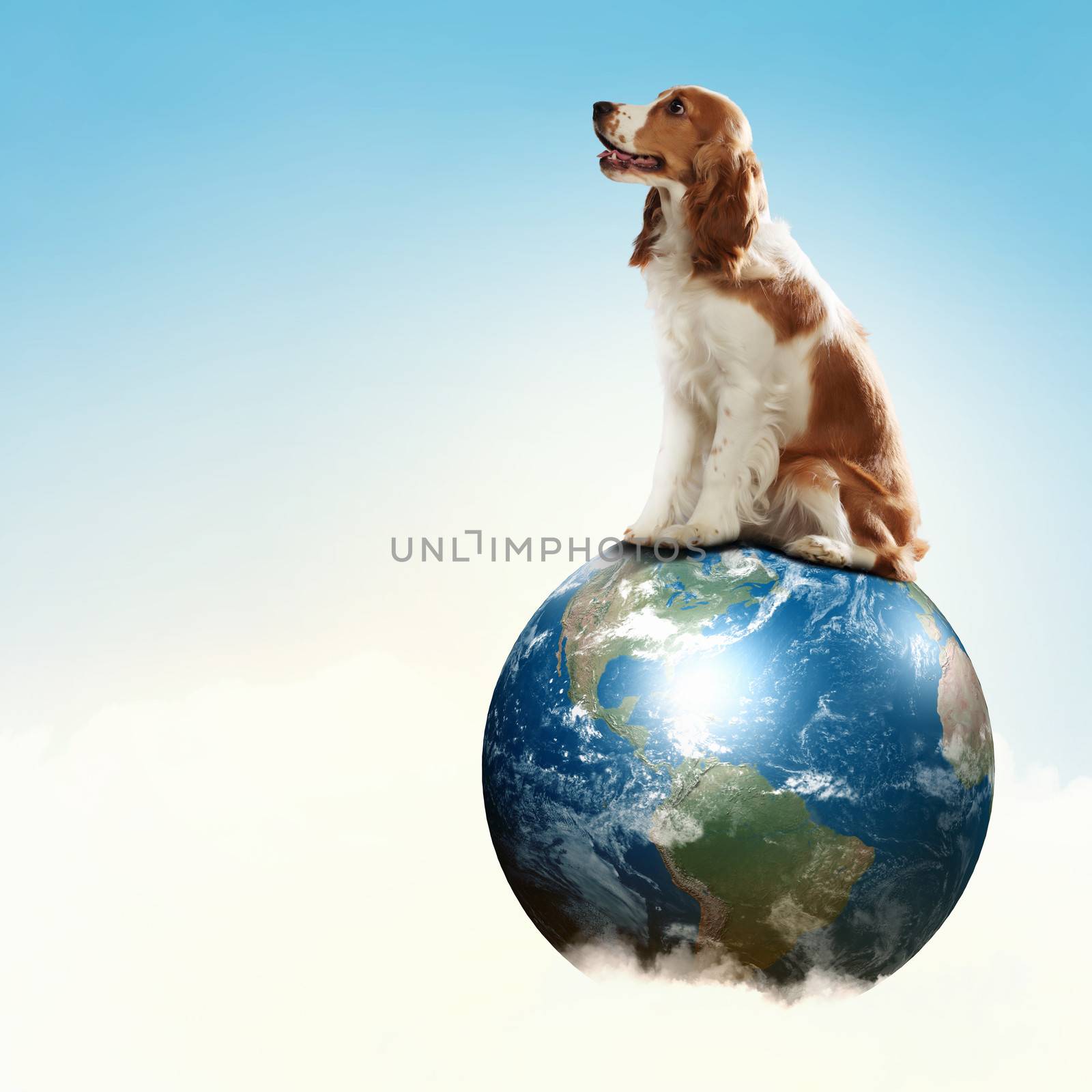 Dog with the Earth planet. Funny collage. Elements of this image are furnished by NASA