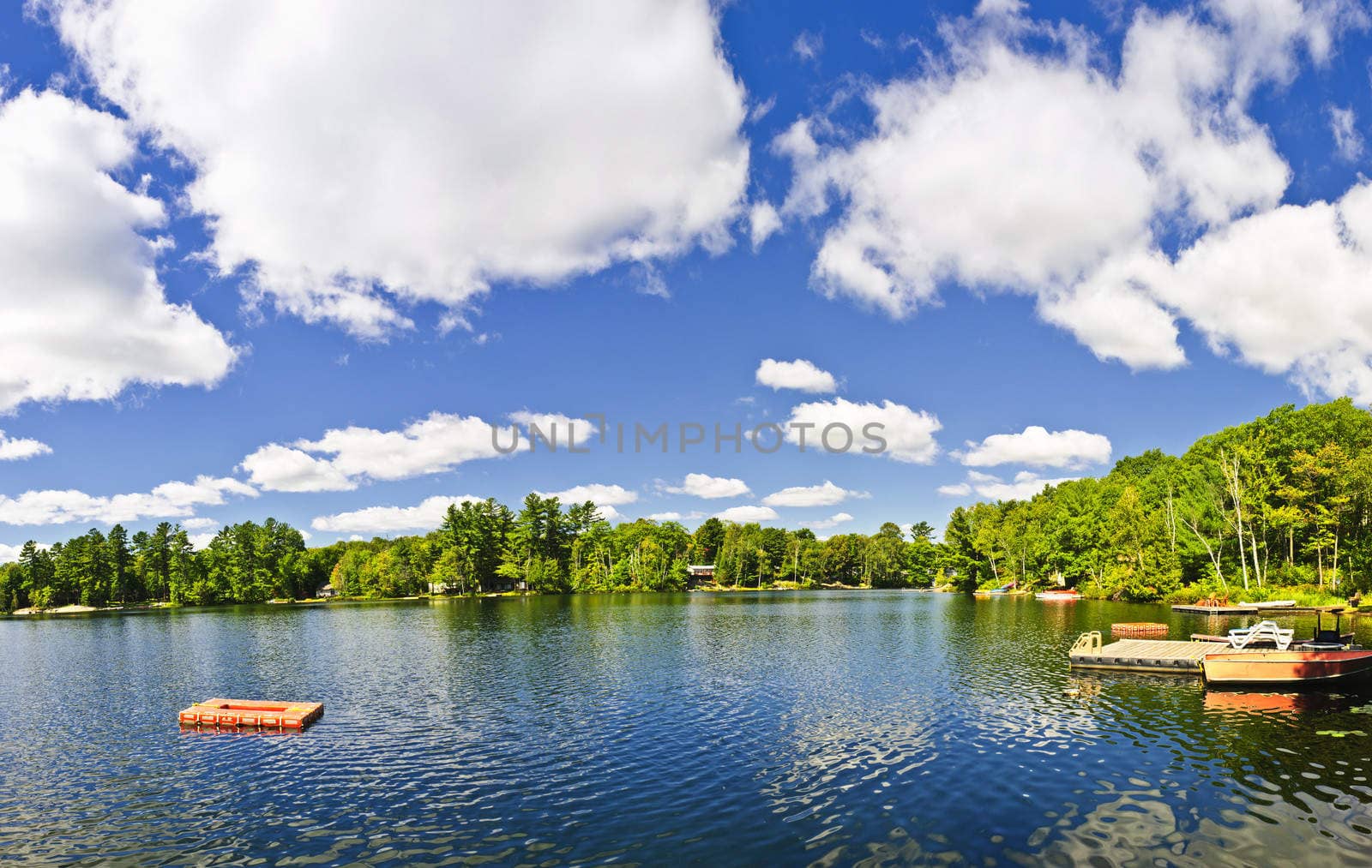 Cottage lake with diving platform and dock by elenathewise