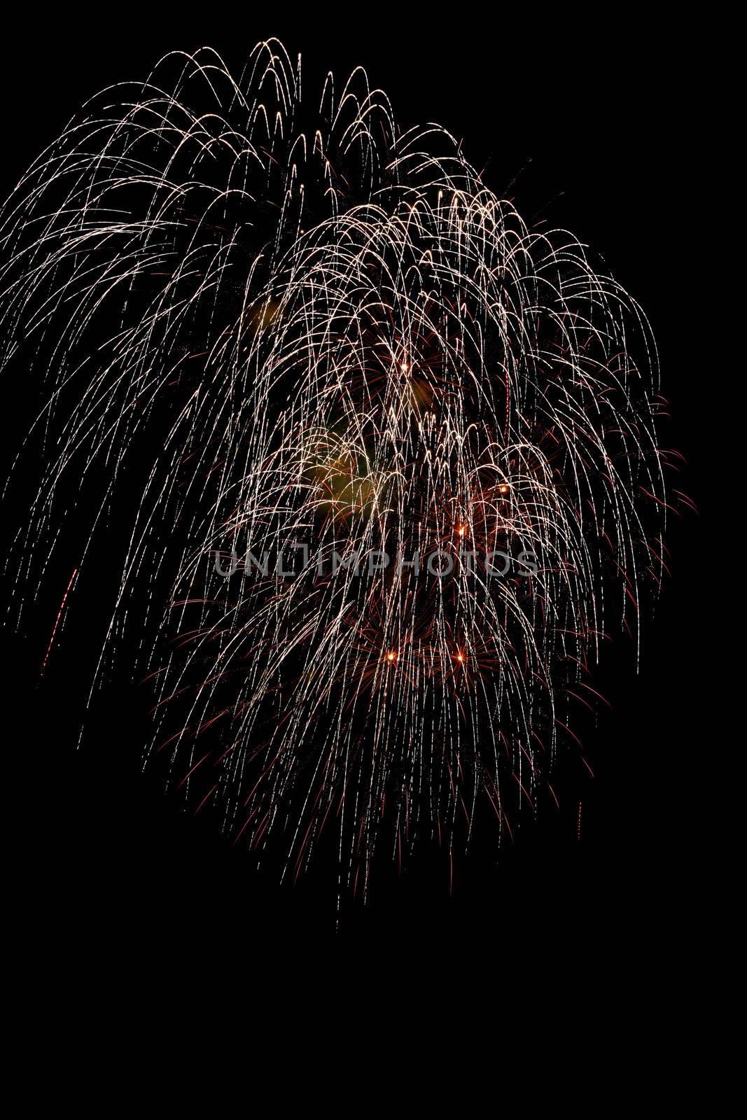 Colorful fireworks on the black sky background