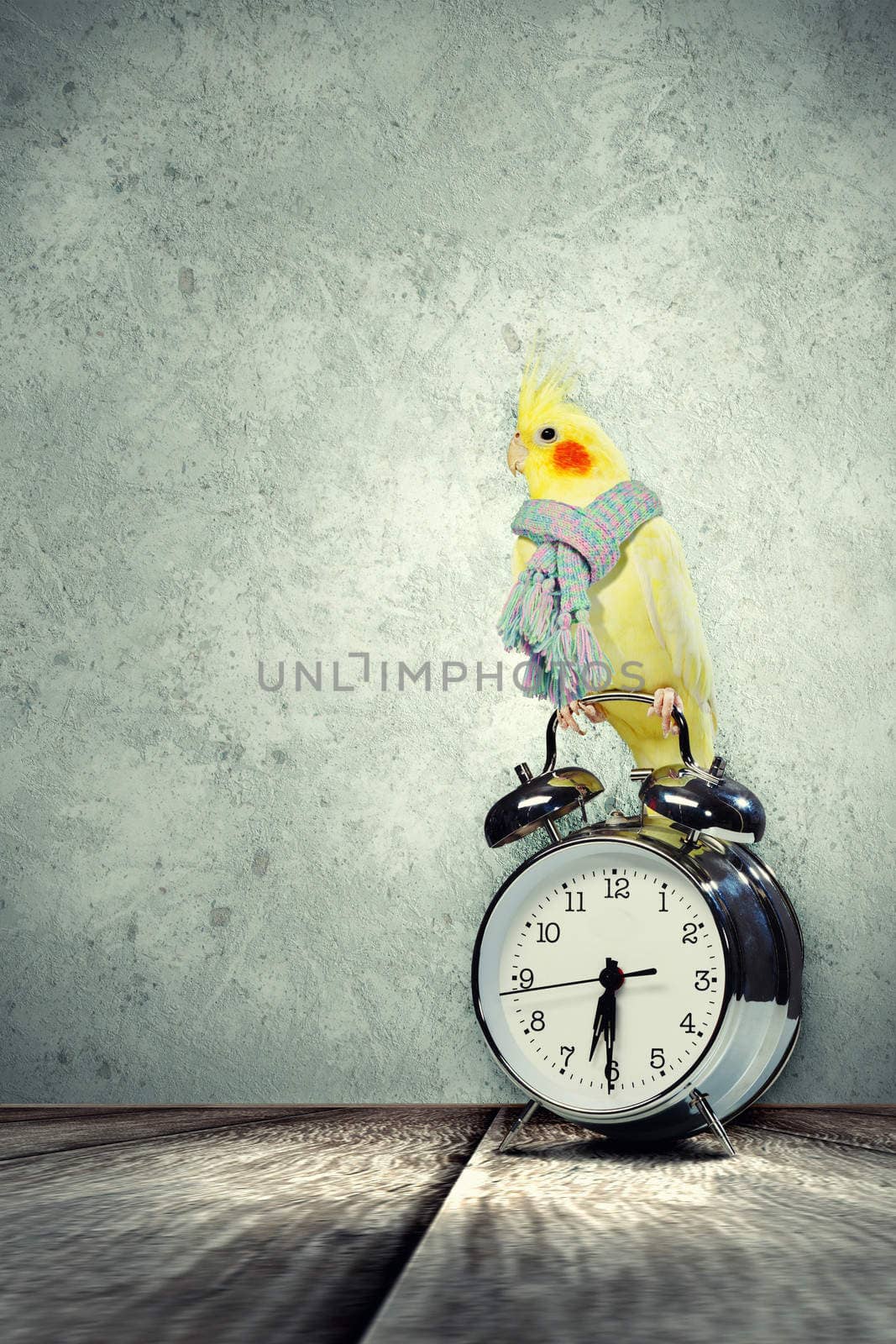 Parrot sitting on alarm clock by sergey_nivens