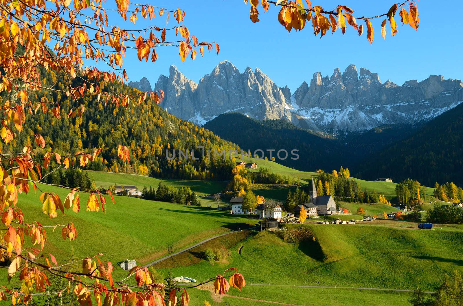 St. Magdalena or Santa Maddalena with its characteristic church in front of the Geisler or Odle Dolomites mountain peaks in the Val di Funes (Villnosstal) in Italy in autumn.