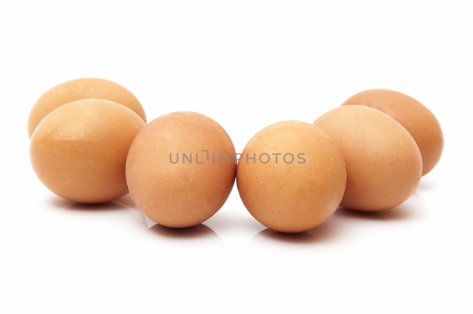 chicken eggs on a white background