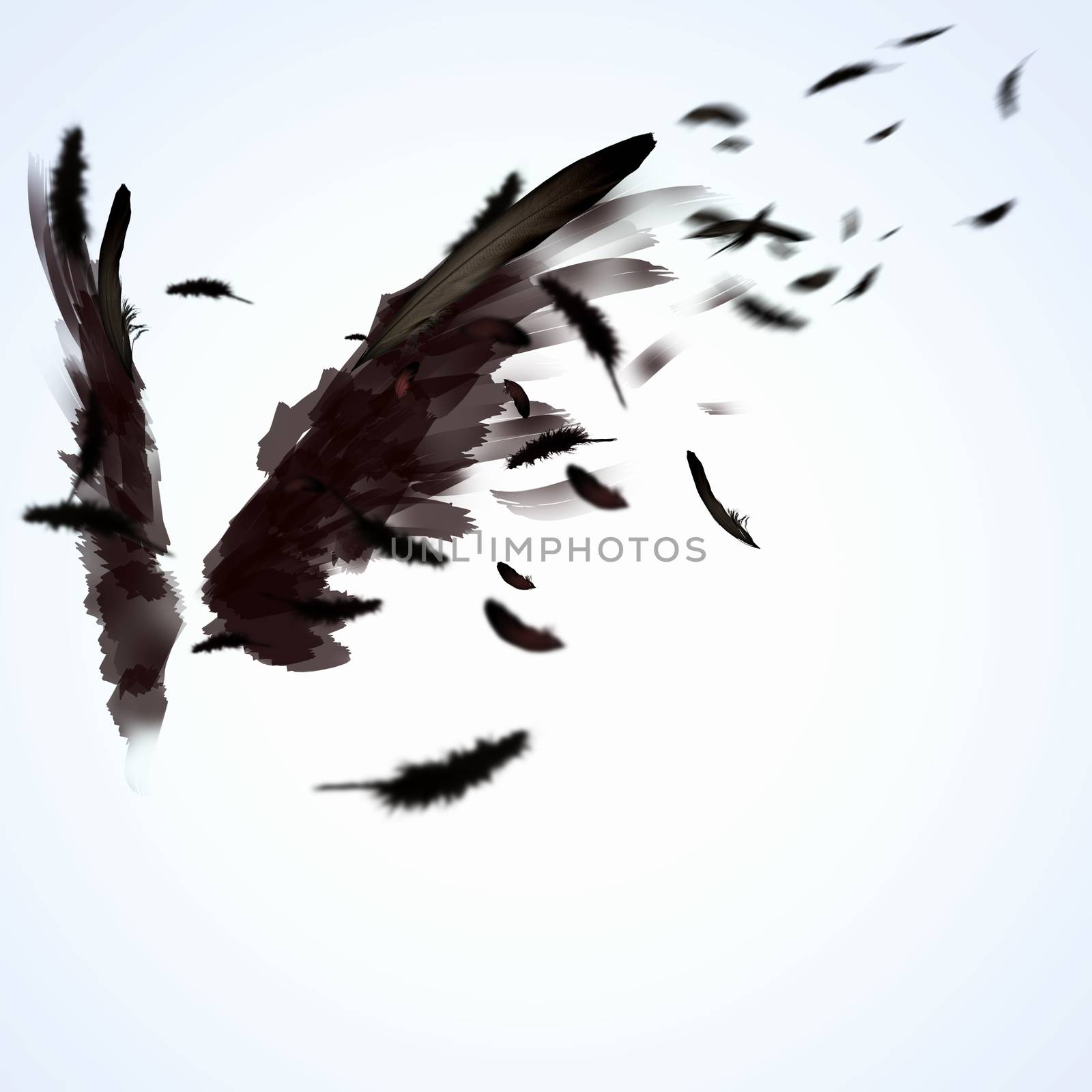 Abstract image of black wings against light background