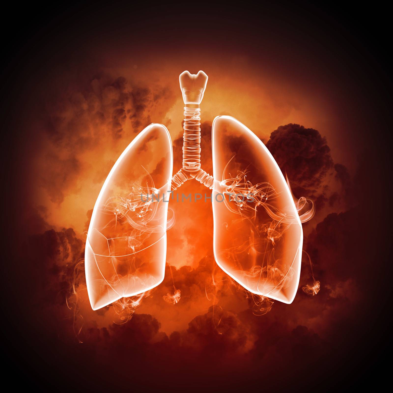 Schematic illustration of human lungs with the different elements on a colored background. Collage.