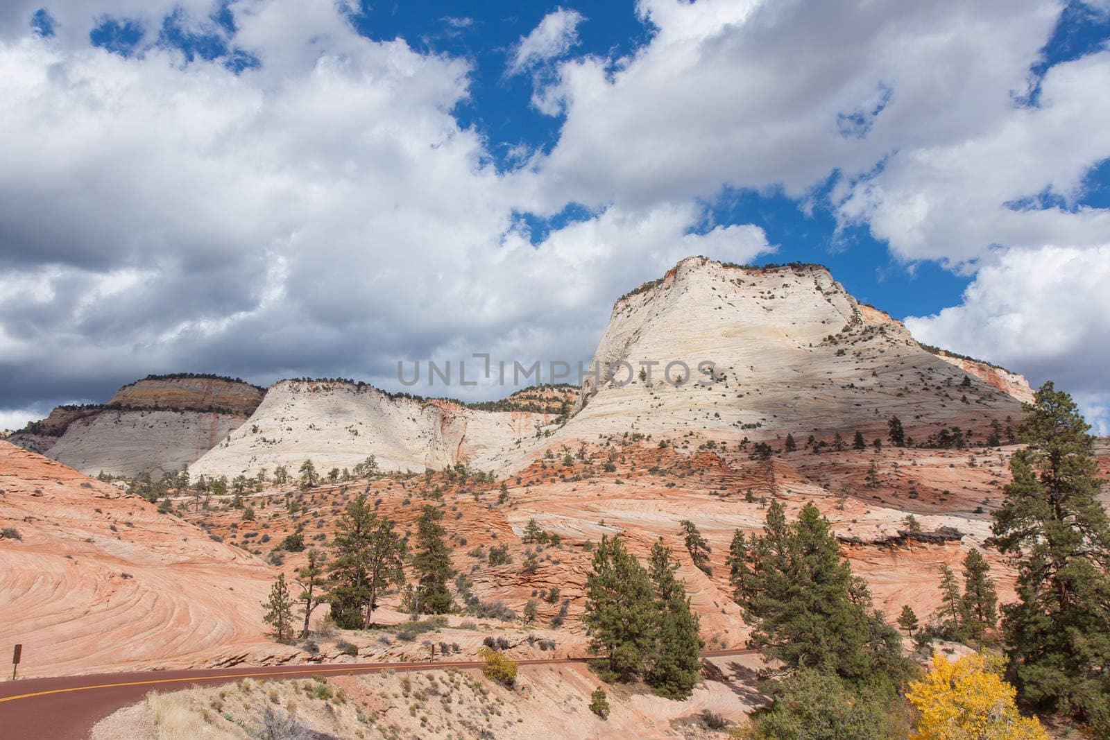 Doesn't this look like a fantastic drive? It certainly is. Within Zion National Park are high plateaus, a maze of narrow, deep, sandstone canyons, and the Virgin River and its tributaries.