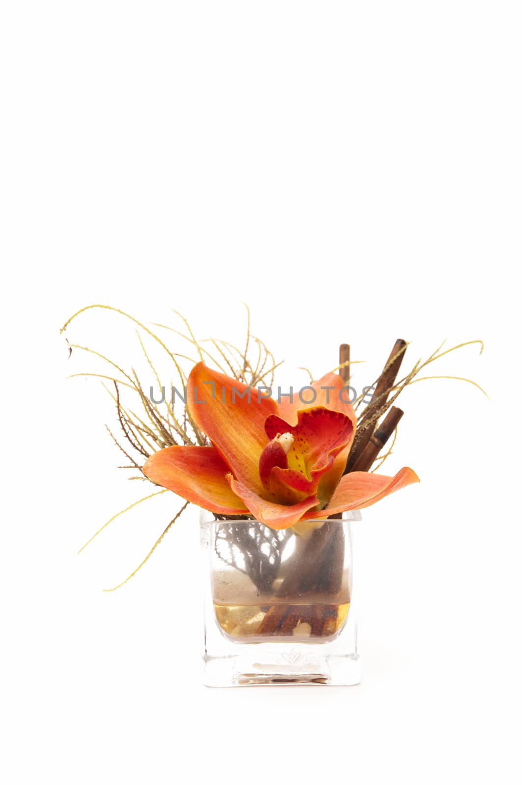 glass with flower on a white background