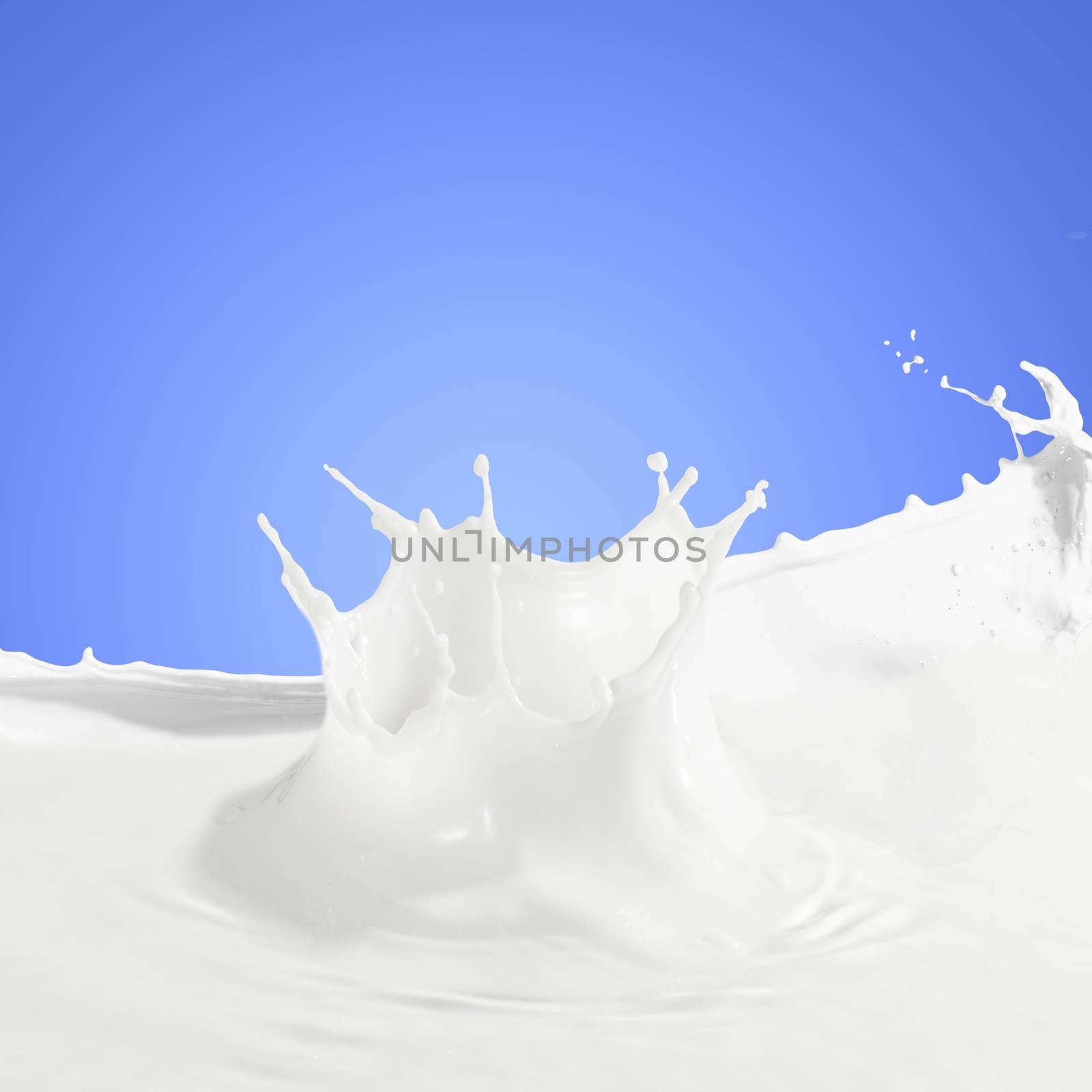 Pouring white milk splash on colour background