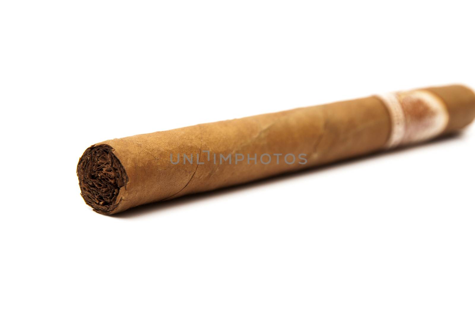 Cuban cigar on a white background