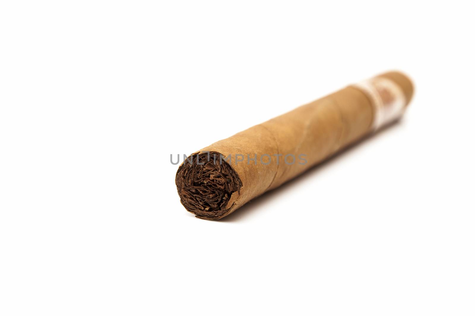 Cuban cigar on a white background