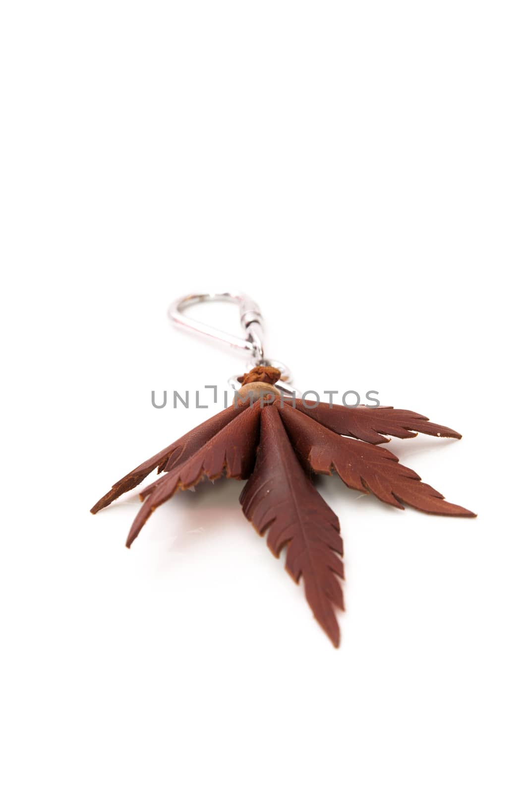 Key marijuana leaf on a white background