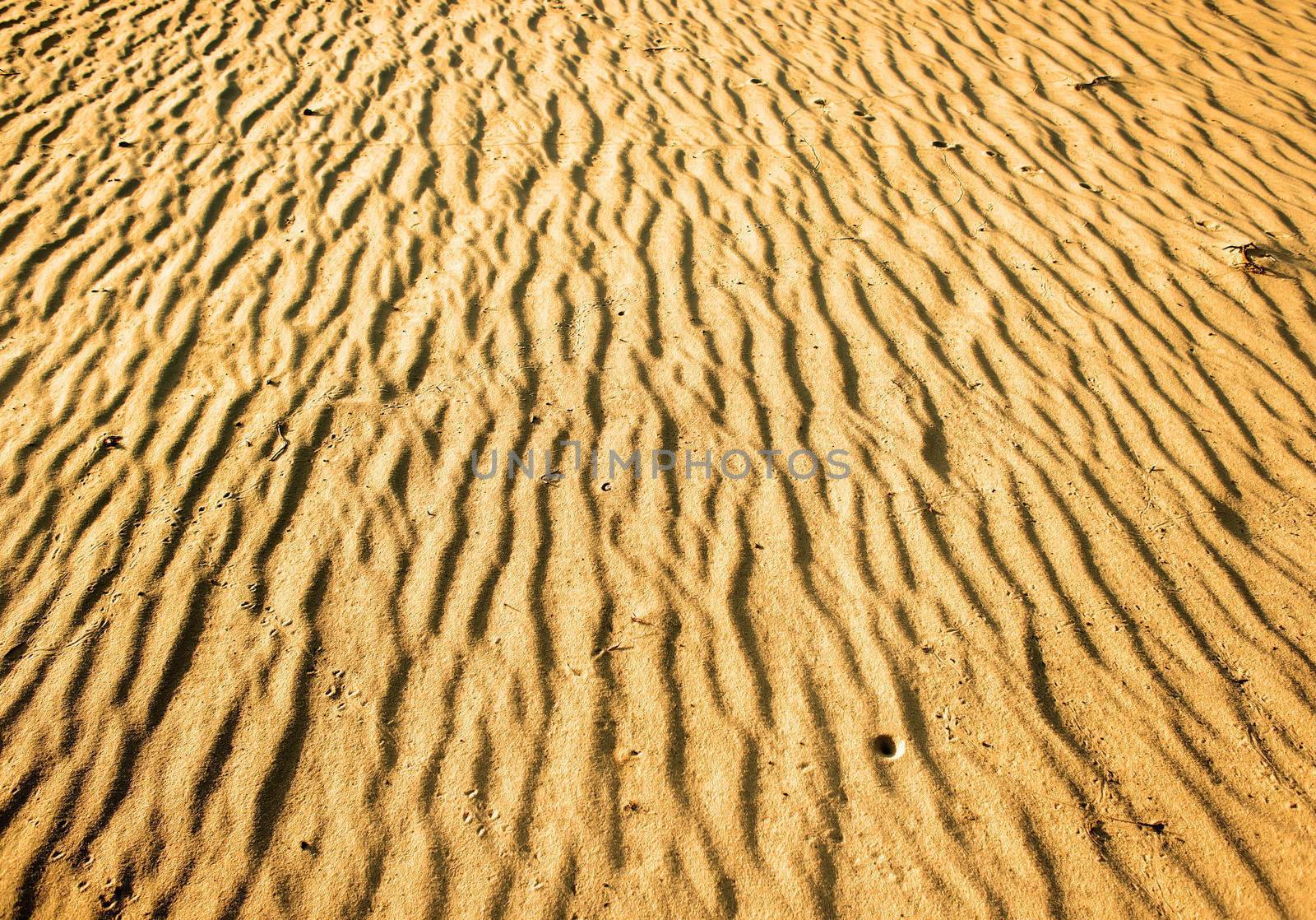 Texture of desert by Givaga