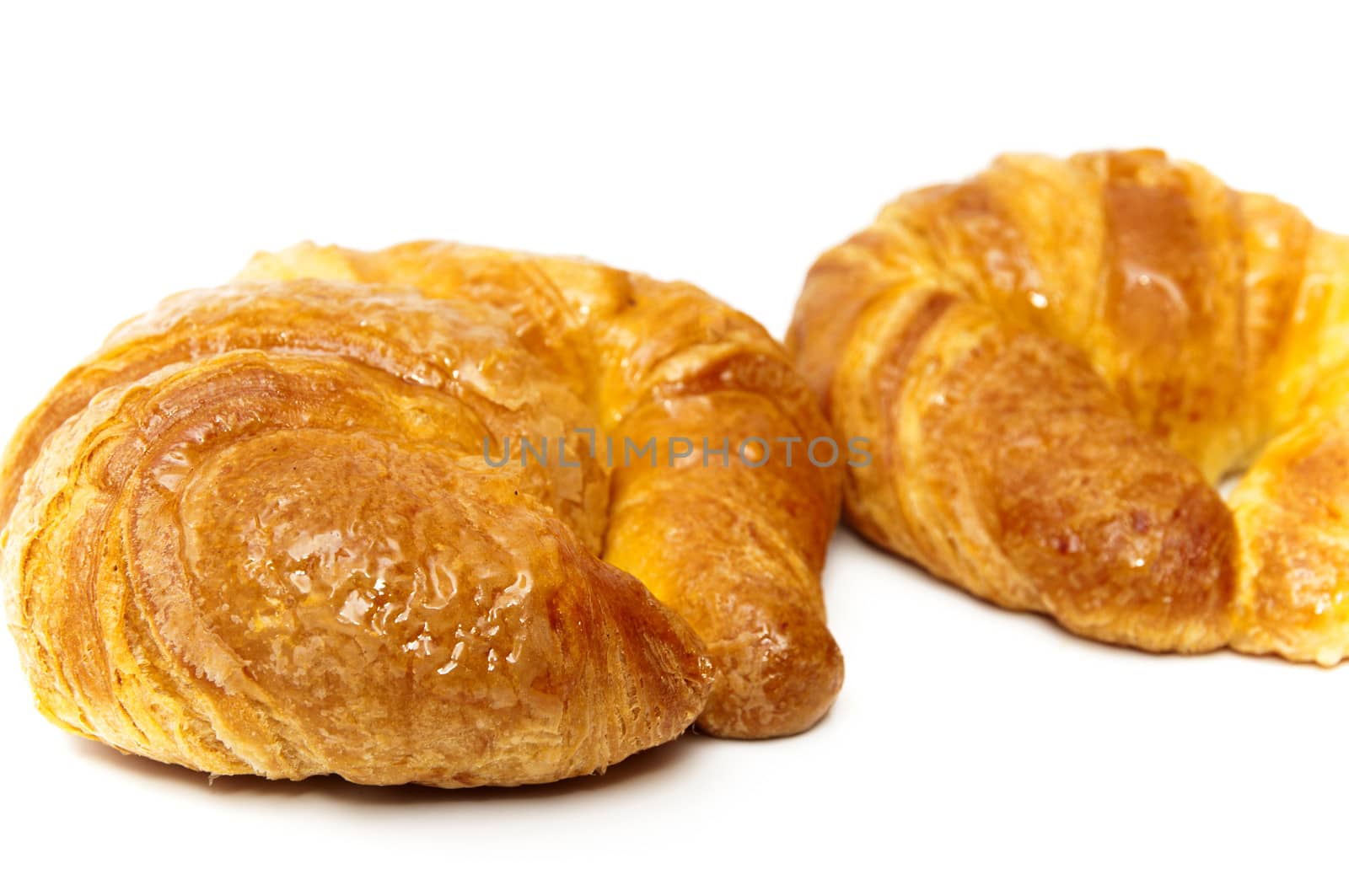 no chocolate croissants on a white background