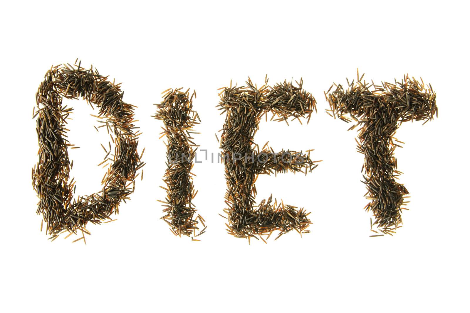 Wild Rice Spelling Diet by dragon_fang