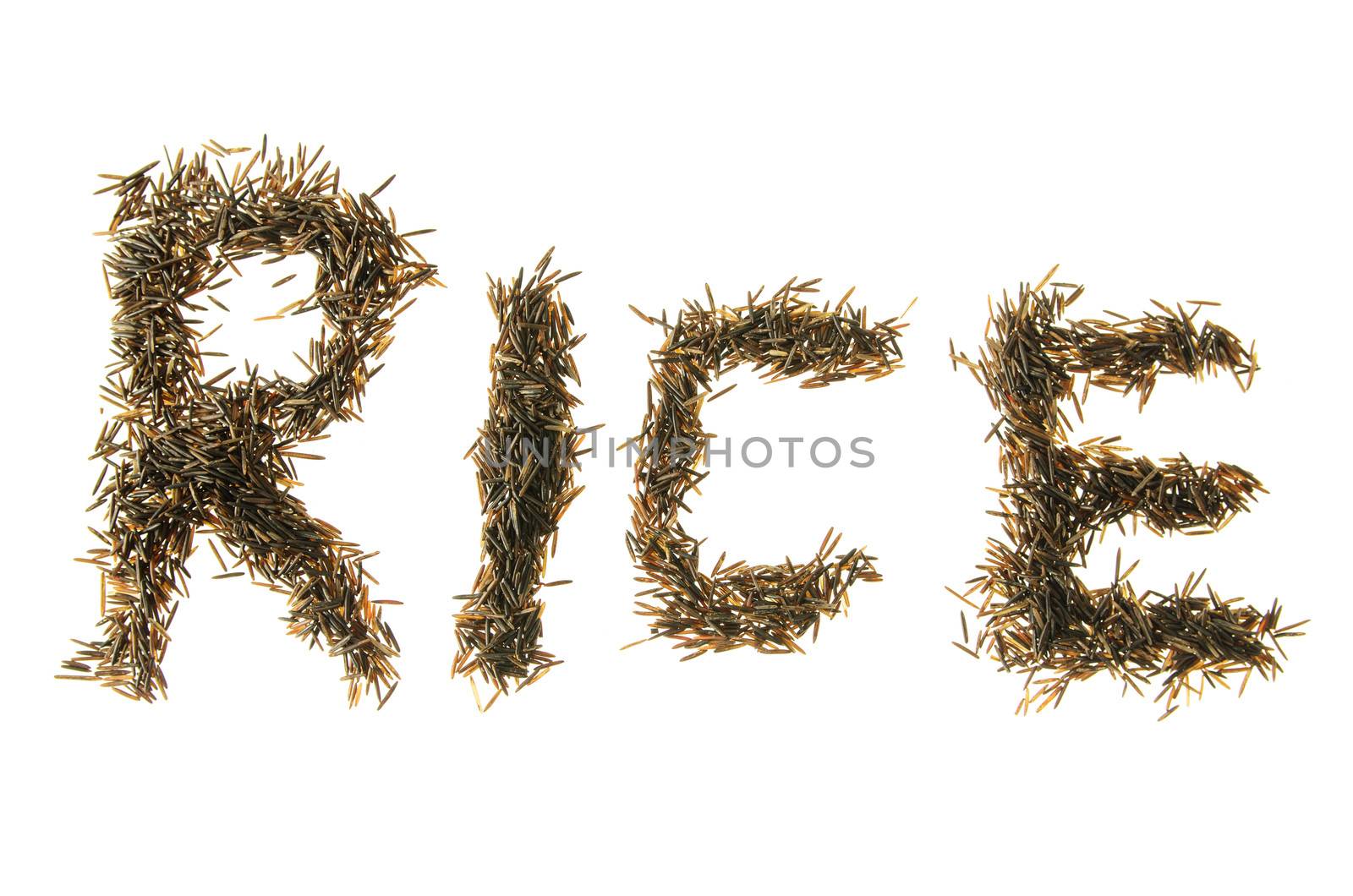 Wild Rice Spelling rice by dragon_fang