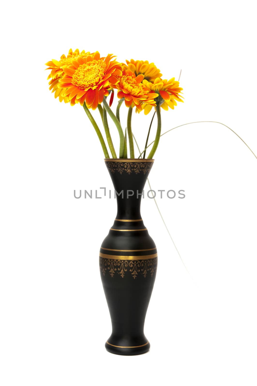 vase of orange flowers on a white background