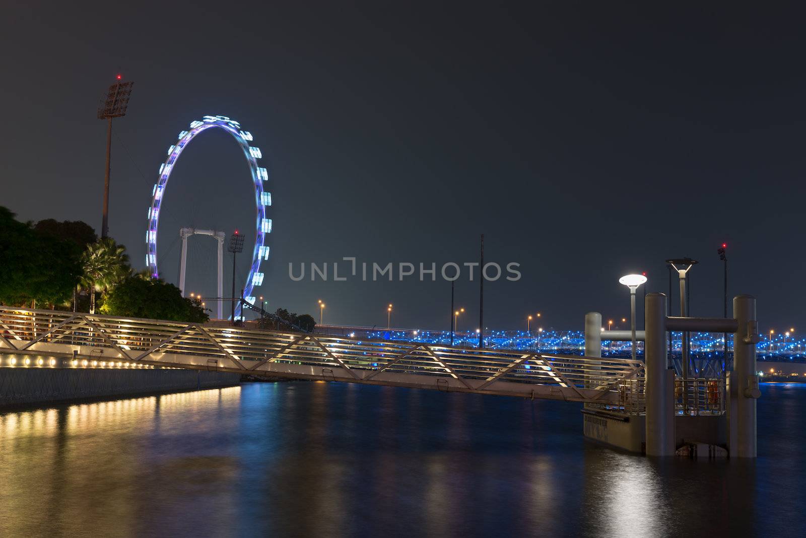 Marina Bay water at night with Singapore flyer on background